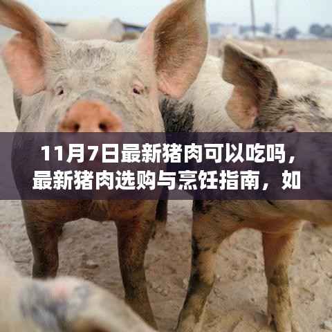 九死一生 第14页