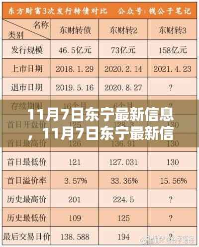 11月7日东宁最新信息解析,观点透视与探讨