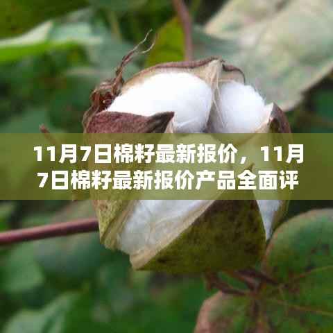 11月7日棉籽最新报价及全面评测与介绍
