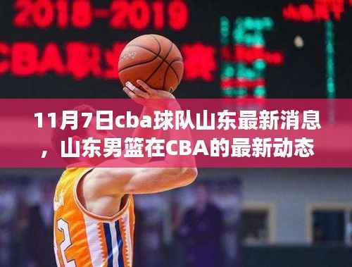 山东男篮CBA最新动态，回顾与展望（11月7日）