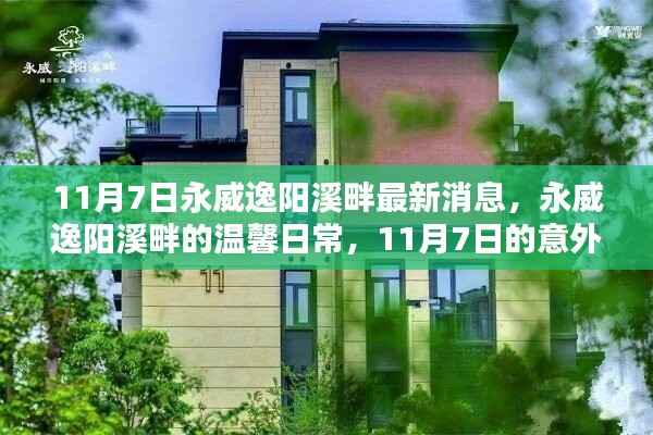 永威逸阳溪畔11月7日惊喜揭秘,温馨日常与意外之喜