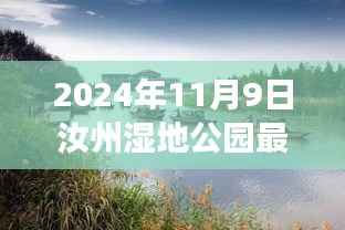 汝州湿地公园新篇章揭秘,自然探索与心灵宁静之旅的更新消息(2024年11月9日)