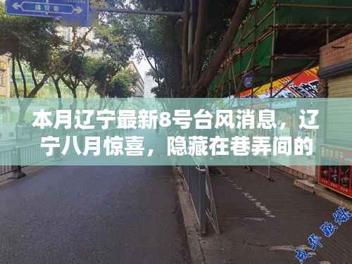 辽宁八月特色小店与台风8号的奇妙邅行,最新台风消息解读