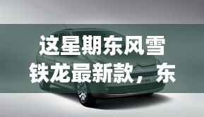 东风雪铁龙新款车型亮相，引领时尚风潮，成为本周焦点