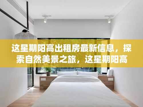 本周阳高出租房最新信息,探索自然美景之旅,寻找内心的宁静居所