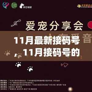 11月接码号的冒险,友情、爱与犯罪的交织