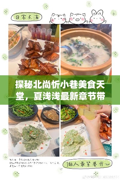 探秘北尚忻小巷美食天堂,夏浅浅最新章节带你开启味蕾盛宴之旅(2024年)