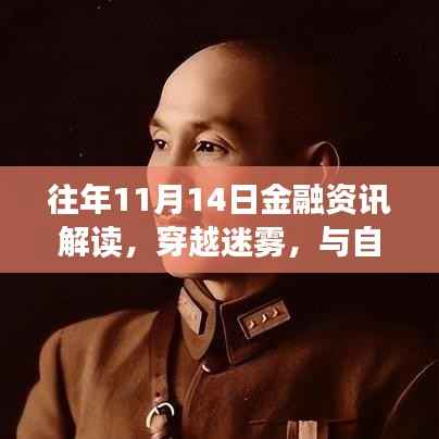 往年11月14日金融资讯解读,穿越迷雾,与自然美景交融的心灵启示之旅