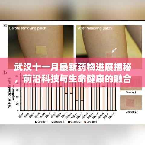 武汉十一月最新药物进展揭秘,前沿科技与生命健康的融合之旅