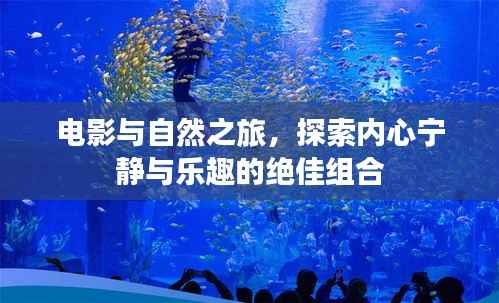 电影与自然之旅，探索内心宁静与乐趣的绝佳组合
