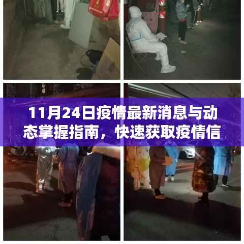 11月24日疫情最新消息与动态掌握指南,快速获取疫情信息步骤