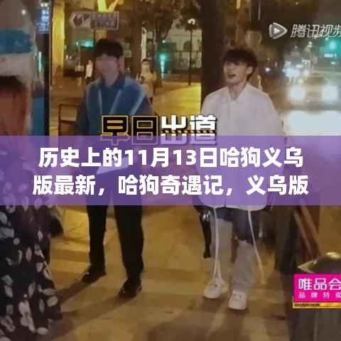 哈狗奇遇记，义乌版自然美景探索之旅（1月13日最新更新）