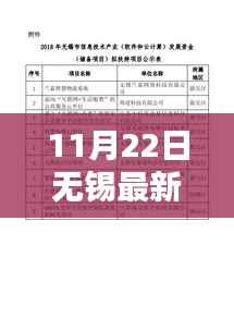 无锡最新干部任命公示流程及详解,参与公示活动全步骤指南