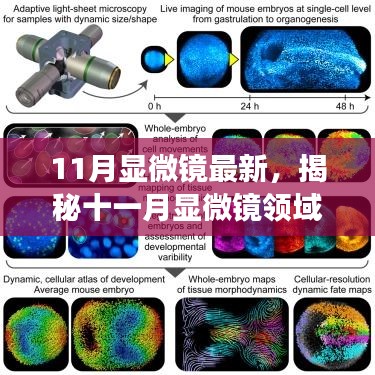 揭秘十一月显微镜领域的最新进展与突破