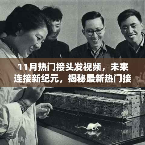 鸟穷则啄 第4页