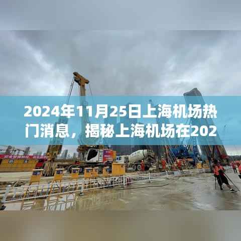 揭秘上海机场在高峰日的最新动态，特性、体验、竞争分析与用户洞察（2024年11月25日）