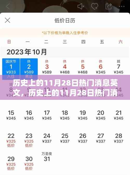 历史上的11月28日重大事件深度解析与介绍,热门消息的英文回顾