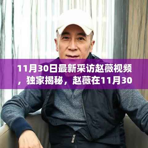 独家揭秘,赵薇最新访谈深度解析视频曝光