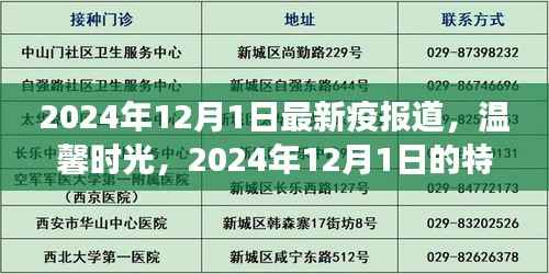 温馨时光，特殊疫情下的日常故事——2024年12月1日最新疫情报道