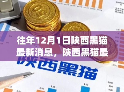 陕西黑猫历年12月1日发展纪实与最新动态