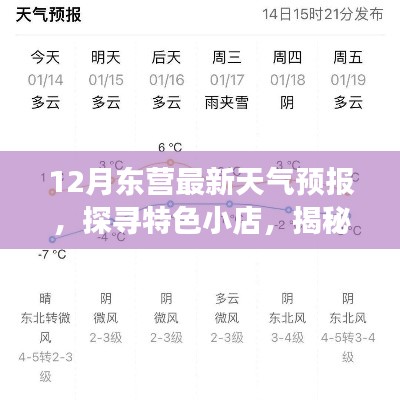 东营天气预报揭秘，小巷特色小店与气象万千的风味探寻