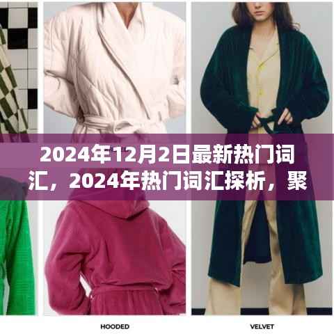 聚焦未来趋势与个人观点,2024年热门词汇探析及最新流行趋势