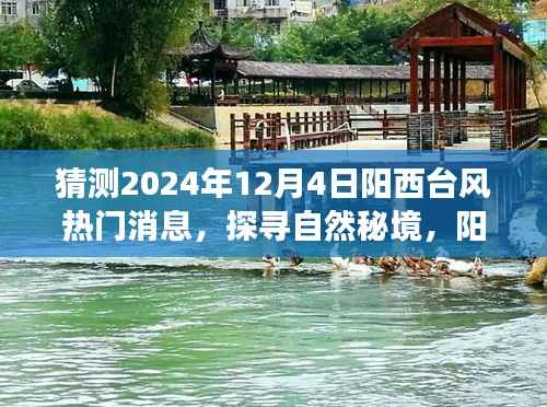揭秘阳西台风背后的故事,探寻自然秘境,启程寻找内心的宁静与奇迹(热门消息预测)