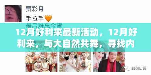 12月好利来,与大自然共舞,探寻内心的桃花源,尽享最新活动优惠!