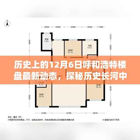 历史上的12月6日呼和浩特楼盘动态,新脉动与巷陌风情探秘