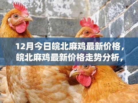 杳无音讯 第4页