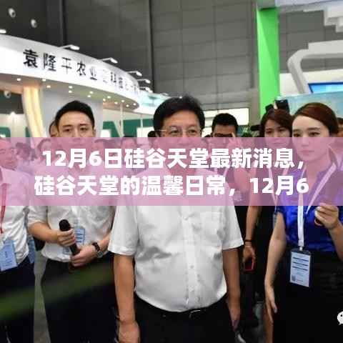 硅谷天堂,温馨日常与奇遇的情感纽带(12月6日最新消息)