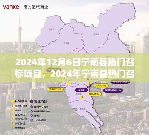 宁南县热门召标项目全景解析（最新资讯，时间，2024年12月6日）