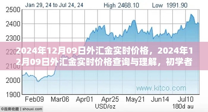 全方位指南,2024年12月09日外汇金实时价格查询与理解,适合初学者至进阶用户