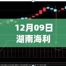 湖南海利股价动态及在特定领域的影响力分析