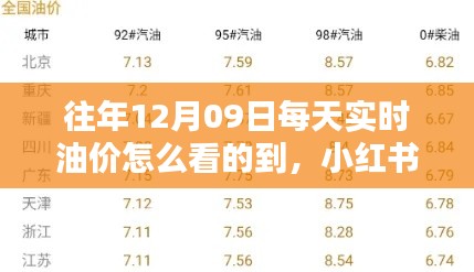 揭秘往年油价走势,轻松查看往年12月9日每日实时油价走势攻略(小红书热门推荐)