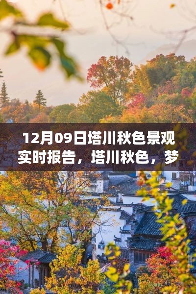 梦幻塔川秋色，12月9日实时景观报告
