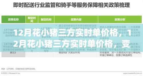 12月花小猪三方实时单价格变动,探索学习之路,培育自信与成就感的源泉