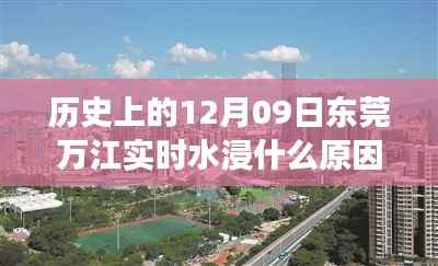 揭秘历史上的东莞万江实时水浸事件原因及真相回顾