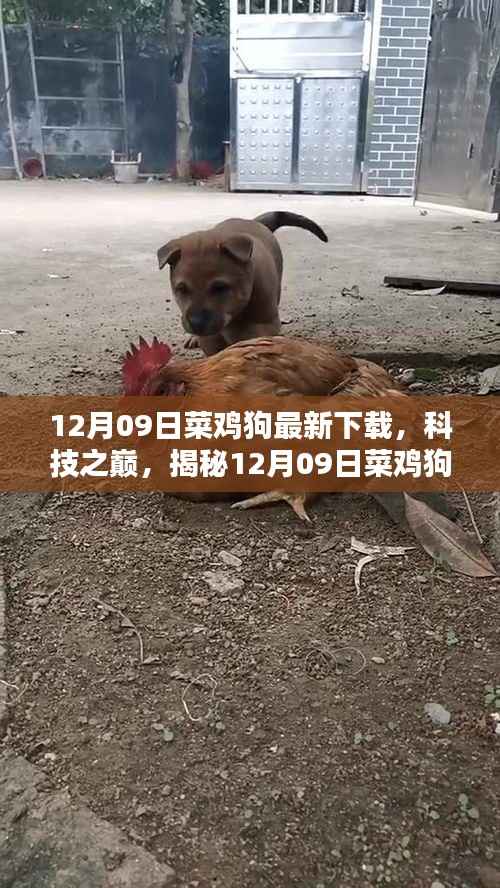 揭秘，最新菜鸡狗下载版，感受科技巅峰的力量！