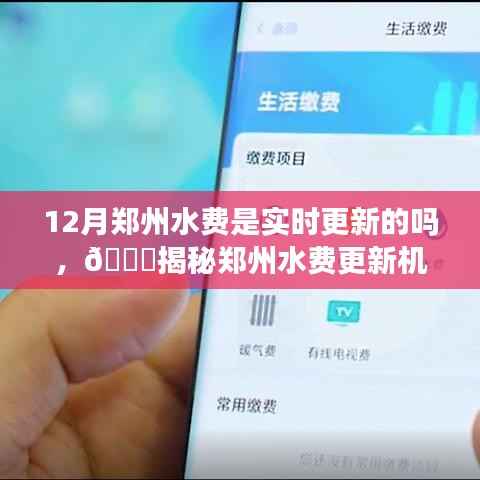 揭秘郑州水费更新机制，12月水费是否实时更新？