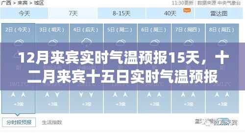 气候变迁下的微观洞察，十二月来宾实时气温预报15天深度解析