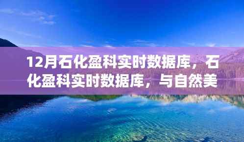 石化盈科实时数据库，与自然美景的交融之旅，探寻内心平静的旅程