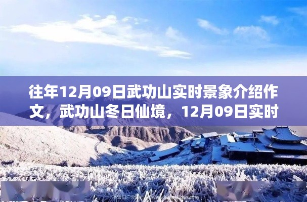 武功山冬日仙境，12月9日实时景象深度解析与介绍作文