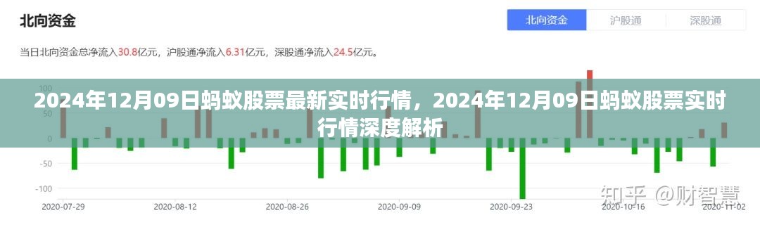 2024年12月09日蚂蚁股票实时行情解析及深度探讨