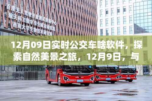 探索自然美景之旅,与公交的宁静相遇,实时公交查询软件推荐