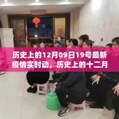 疫情下的历史时刻,十二月九日疫情实时动态与心灵探索之旅