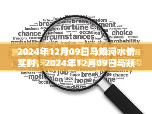 马颊河水情实时查看与应对指南,初学者与进阶用户通用(2024年12月09日版)