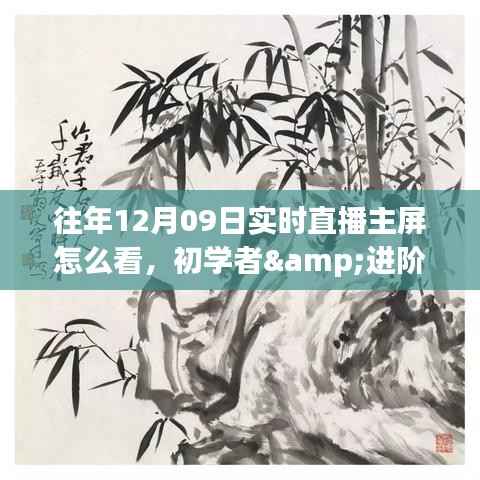 往年12月09日实时直播主屏观看攻略,初学者与进阶用户必看指南