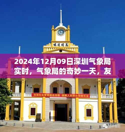 深圳气象局日常，友情、趣事与天气的温暖纽带
