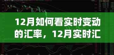深度解析,12月实时汇率变动的多维度观察与观点碰撞